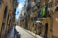 IMG_20241021_124444606_HDR