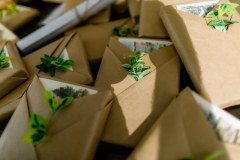 2023.06.01-02_202